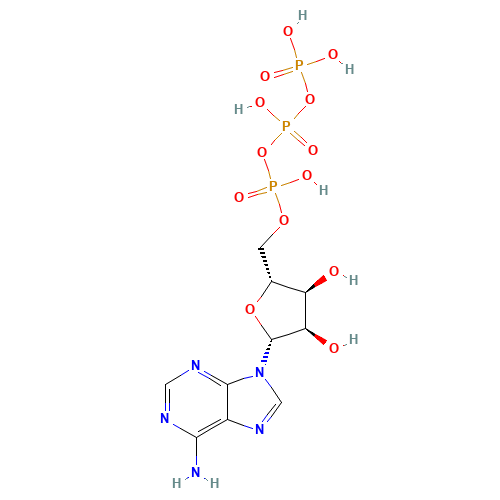 chemical structure of 56-65-5 FT-0621909