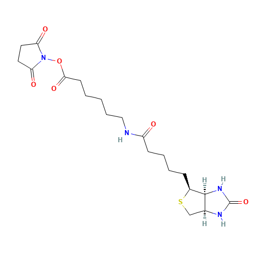 chemical structure of 72040-63-2 FT-0641388
