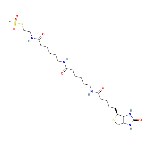 chemical structure of 1038749-81-3 FT-0663151