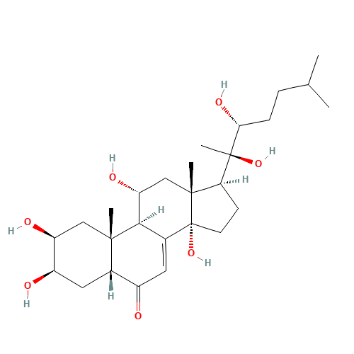 chemical structure of 23044-80-6 FT-0775553